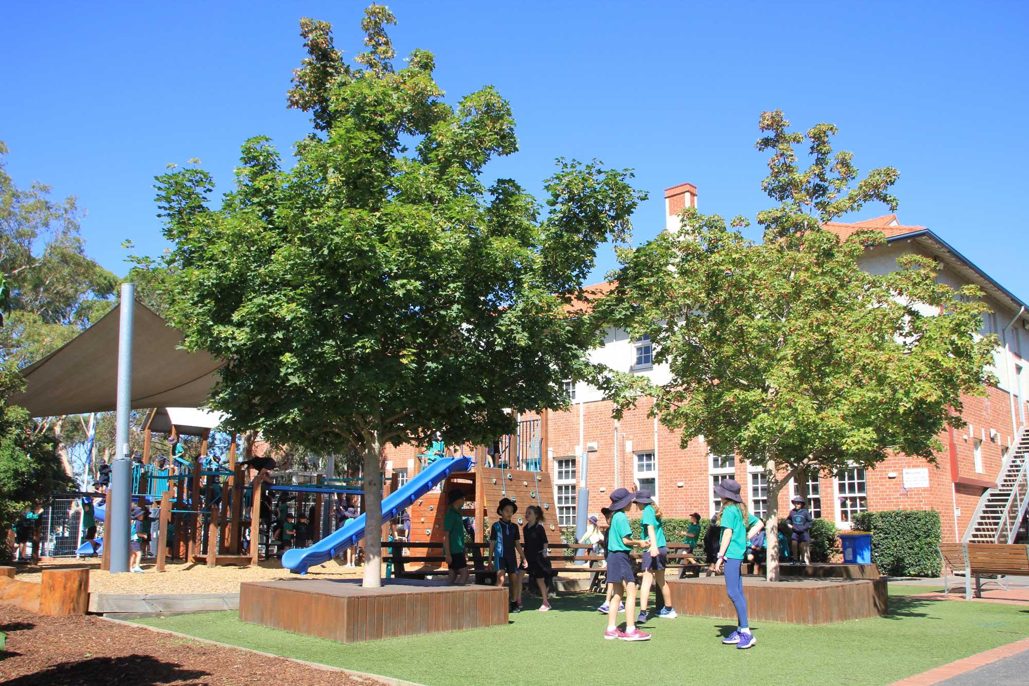 Auburn South Primary School