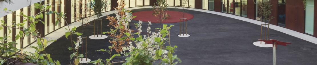 Dunya School