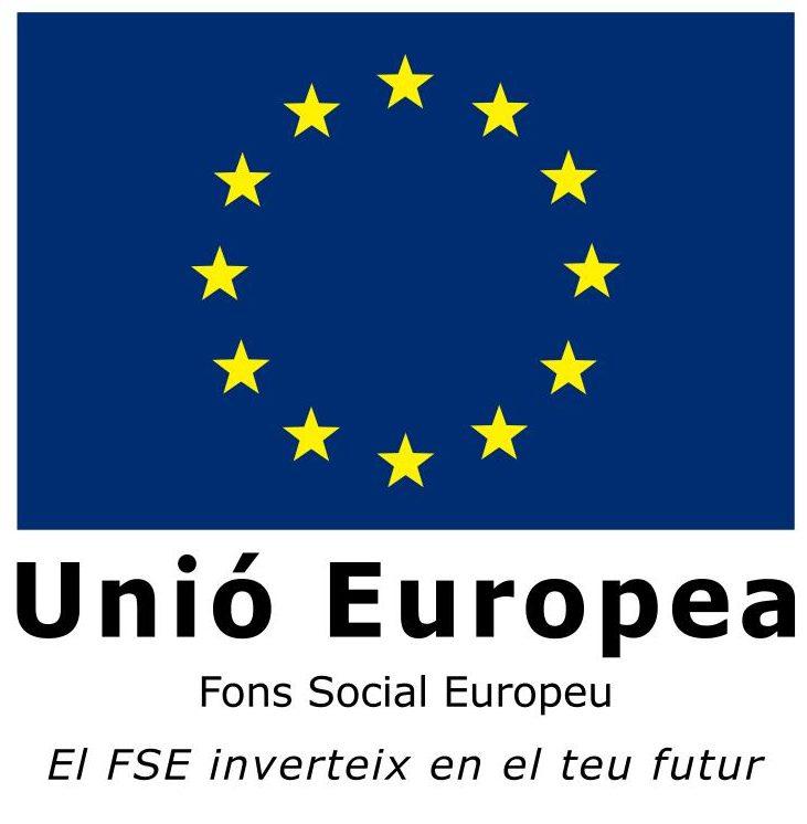 IES Pere Boïl