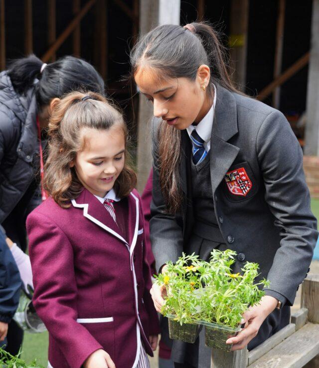 Brentwood School