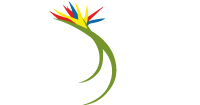 Paradise Primary School