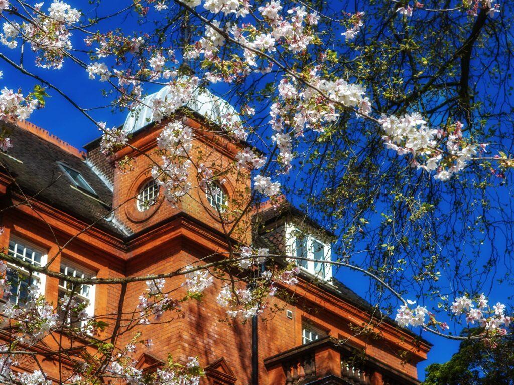 St Mary's School, Hampstead