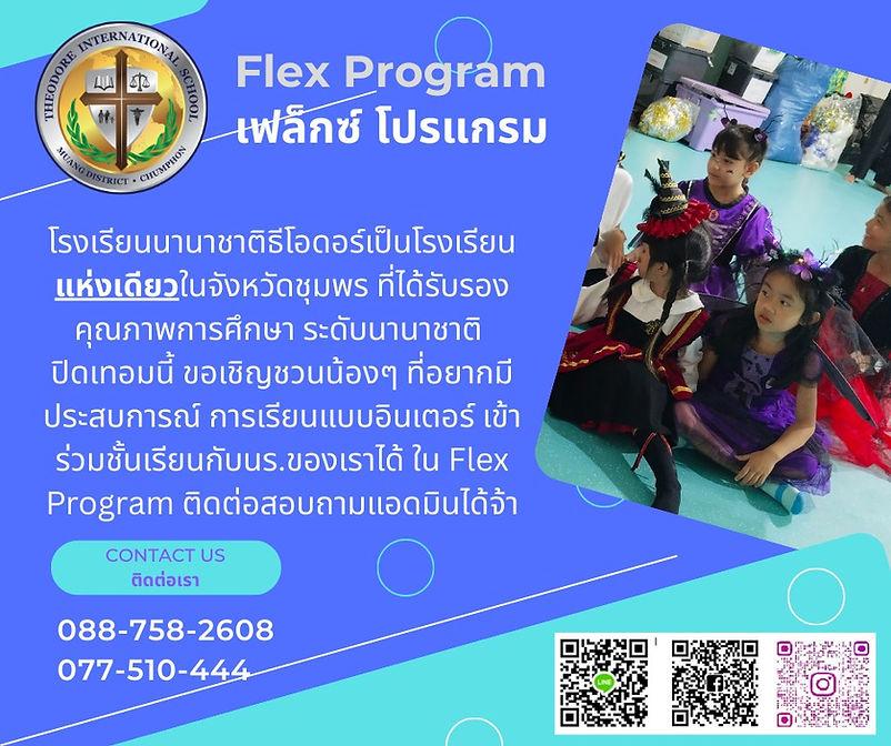 Theodore International School