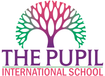 The Pupil