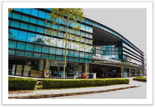 Wise Oaks International School - Valley Point Campus