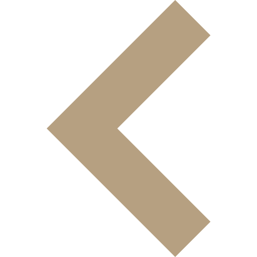 BIS Schools