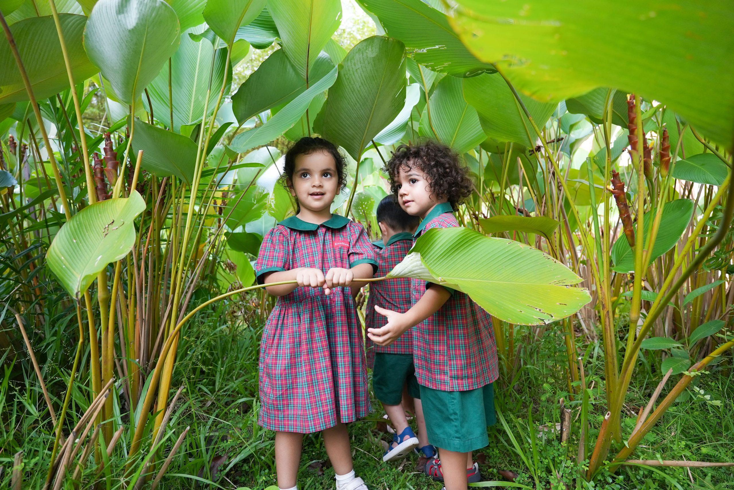 EtonHouse Nature Pre-School