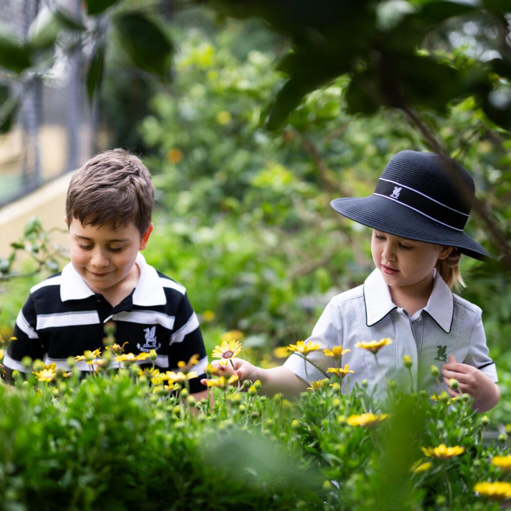 Newington College - Lindfield
