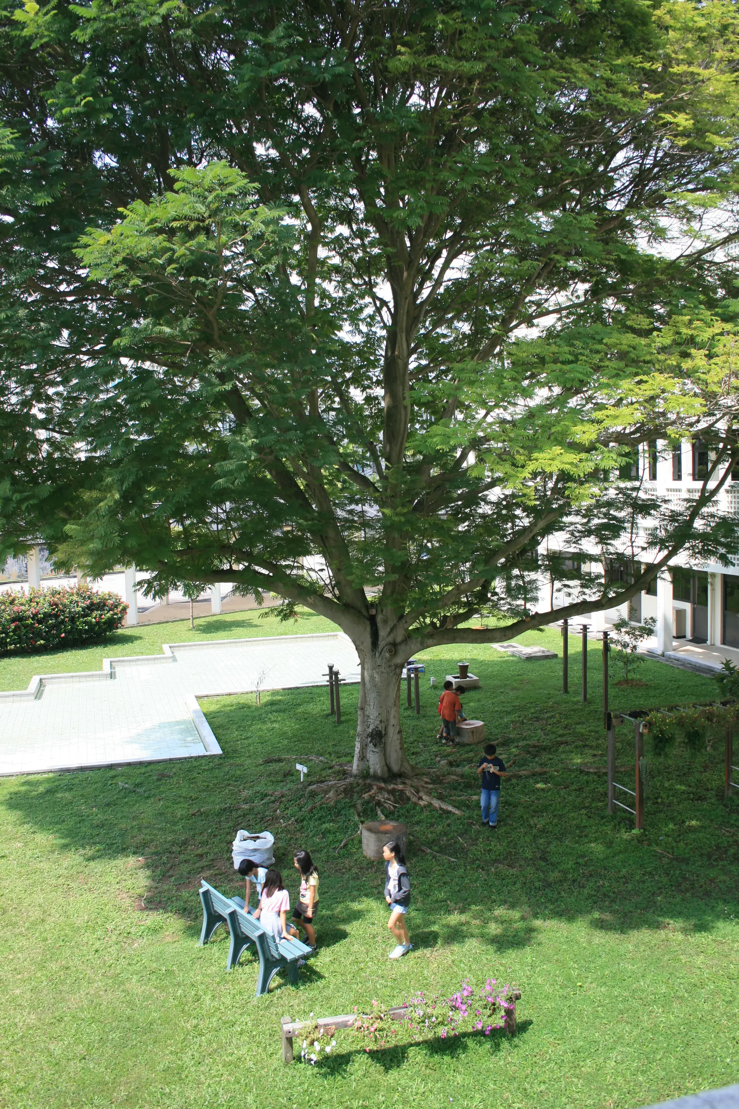 The Japanese School Singapore - Changi