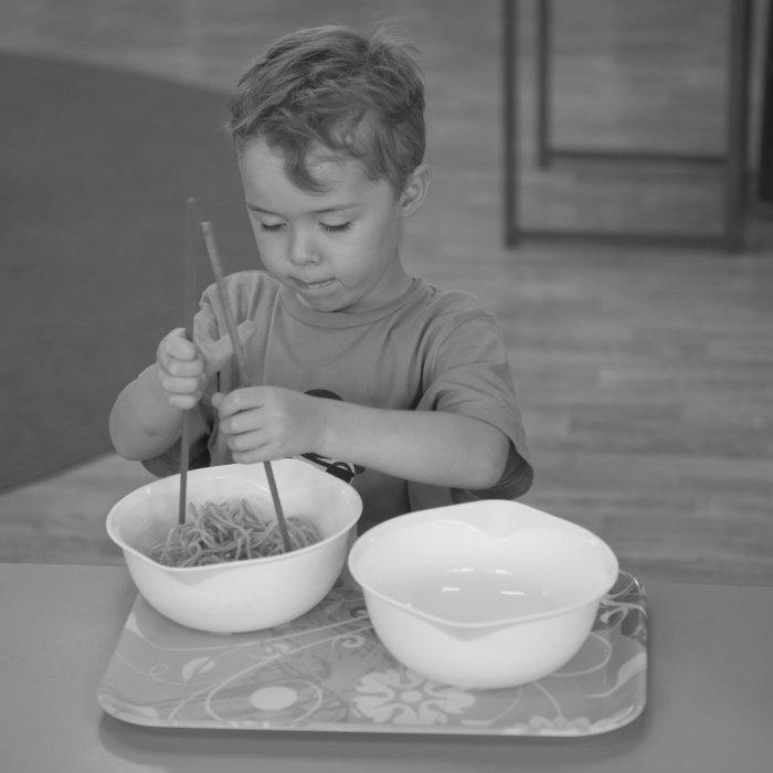 Treetops Montessori School