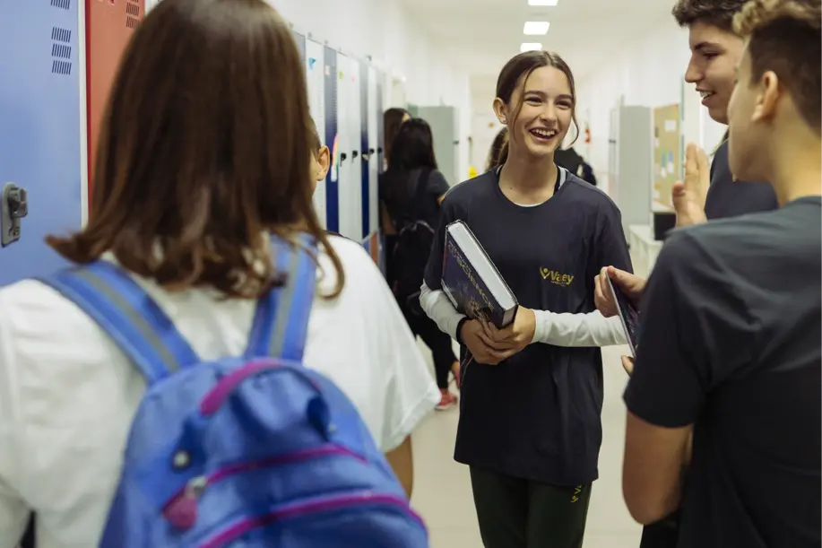 Valley International School