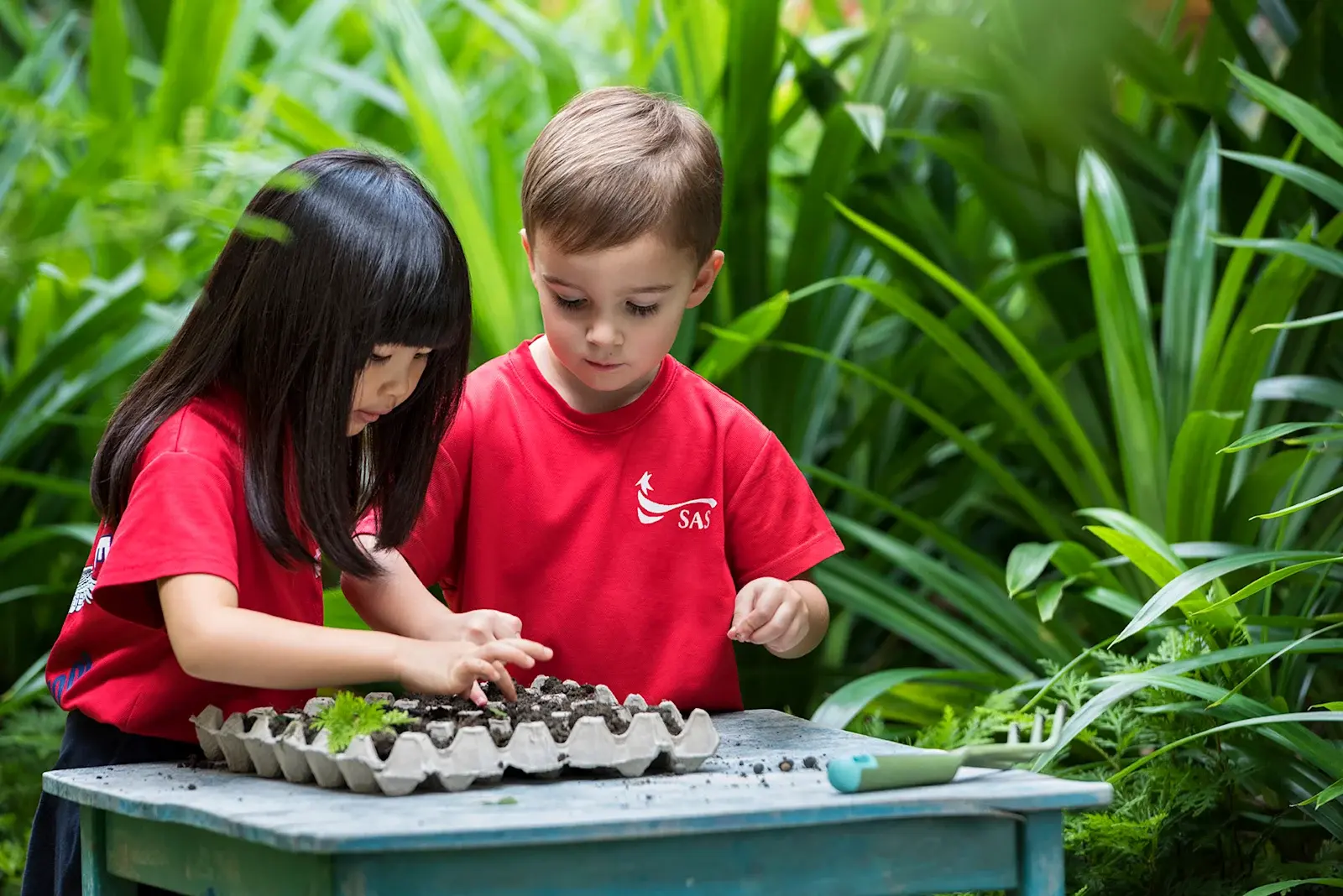 Singapore American School